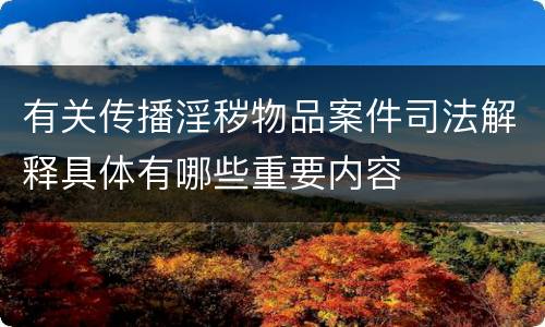 有关传播淫秽物品案件司法解释具体有哪些重要内容
