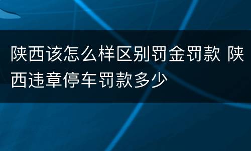陕西该怎么样区别罚金罚款 陕西违章停车罚款多少