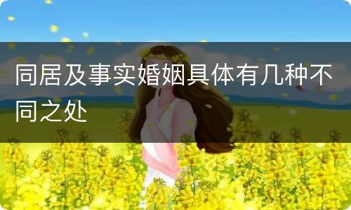 同居及事实婚姻具体有几种不同之处