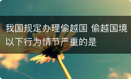 我国规定办理偷越国 偷越国境以下行为情节严重的是