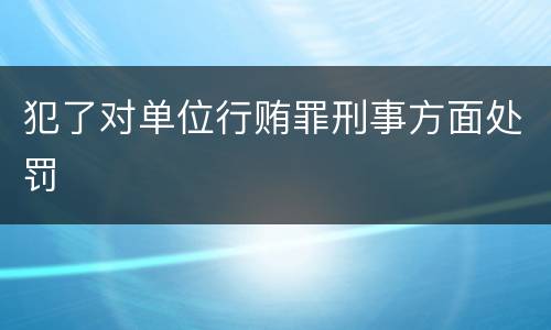 犯了对单位行贿罪刑事方面处罚