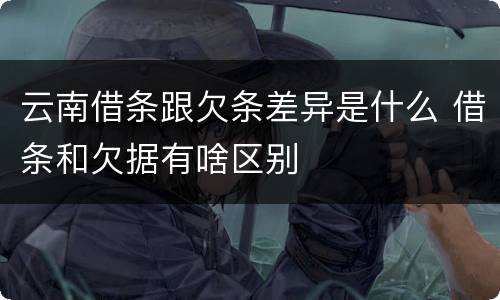 云南借条跟欠条差异是什么 借条和欠据有啥区别