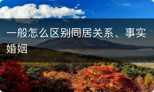 一般怎么区别同居关系、事实婚姻