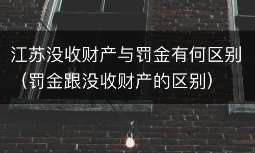 江苏没收财产与罚金有何区别（罚金跟没收财产的区别）