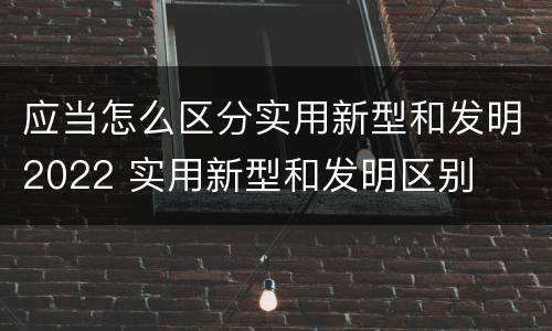 应当怎么区分实用新型和发明2022 实用新型和发明区别