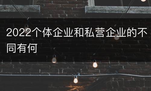 2022个体企业和私营企业的不同有何