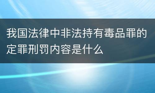 我国法律中非法持有毒品罪的定罪刑罚内容是什么