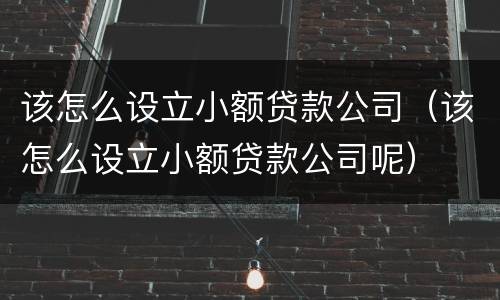 该怎么设立小额贷款公司（该怎么设立小额贷款公司呢）