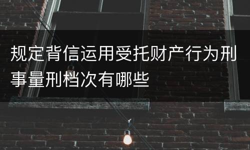 规定背信运用受托财产行为刑事量刑档次有哪些