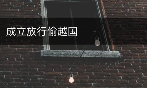 成立放行偷越国