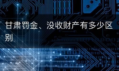 甘肃罚金、没收财产有多少区别