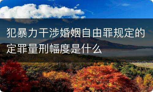 犯暴力干涉婚姻自由罪规定的定罪量刑幅度是什么