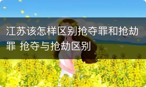 江苏该怎样区别抢夺罪和抢劫罪 抢夺与抢劫区别