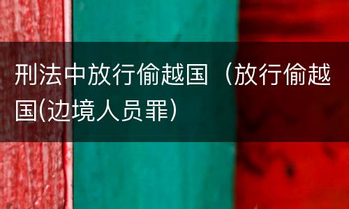 刑法中放行偷越国（放行偷越国(边境人员罪）