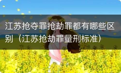江苏抢夺罪抢劫罪都有哪些区别（江苏抢劫罪量刑标准）