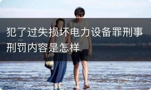 犯了过失损坏电力设备罪刑事刑罚内容是怎样