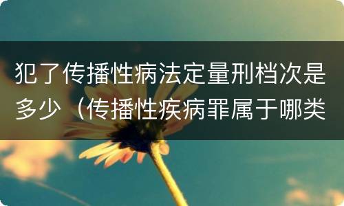 犯了传播性病法定量刑档次是多少（传播性疾病罪属于哪类罪）