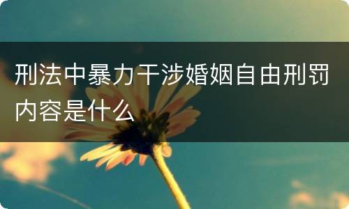 刑法中暴力干涉婚姻自由刑罚内容是什么