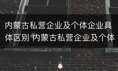内蒙古私营企业及个体企业具体区别 内蒙古私营企业及个体企业具体区别是什么