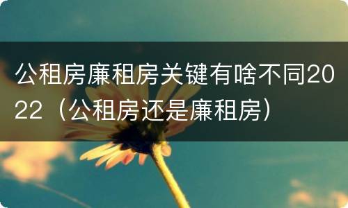 公租房廉租房关键有啥不同2022（公租房还是廉租房）