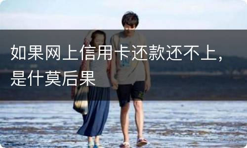 如果网上信用卡还款还不上，是什莫后果