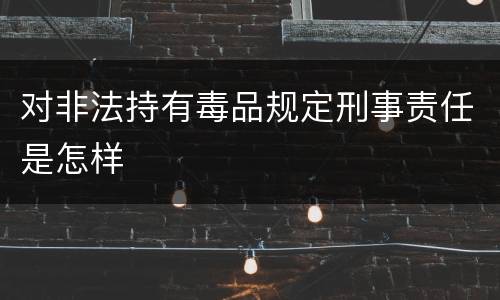 对非法持有毒品规定刑事责任是怎样