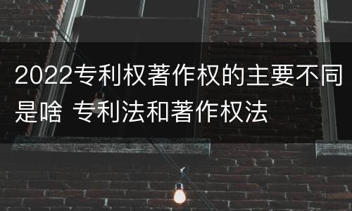 2022专利权著作权的主要不同是啥 专利法和著作权法