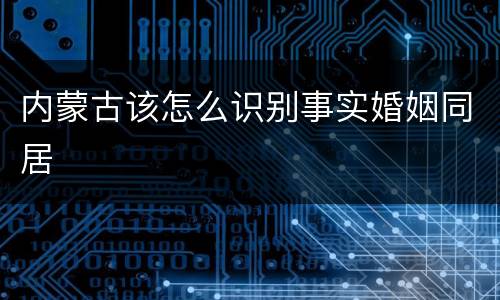 内蒙古该怎么识别事实婚姻同居