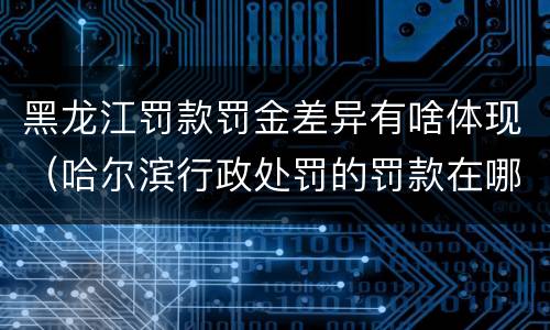 黑龙江罚款罚金差异有啥体现（哈尔滨行政处罚的罚款在哪交）