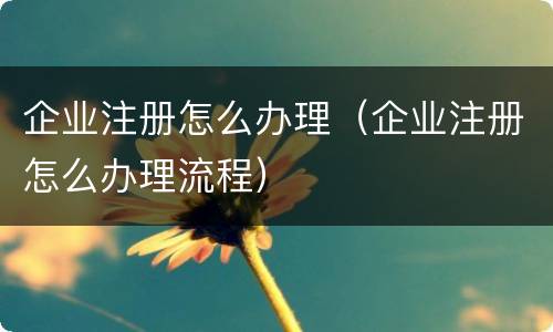 企业注册怎么办理（企业注册怎么办理流程）