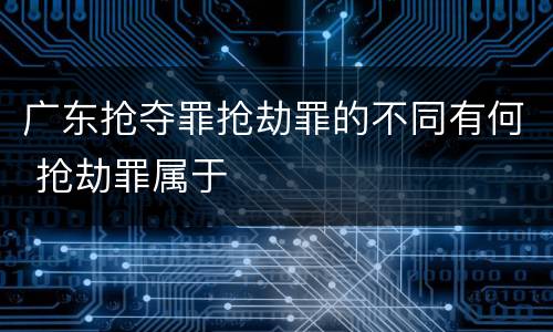 广东抢夺罪抢劫罪的不同有何 抢劫罪属于