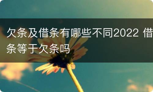 欠条及借条有哪些不同2022 借条等于欠条吗