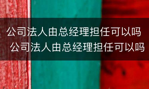 公司法人由总经理担任可以吗 公司法人由总经理担任可以吗
