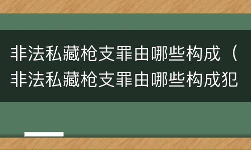 非法私藏枪支罪由哪些构成（非法私藏枪支罪由哪些构成犯罪）