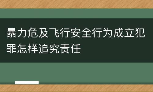 暴力危及飞行安全行为成立犯罪怎样追究责任