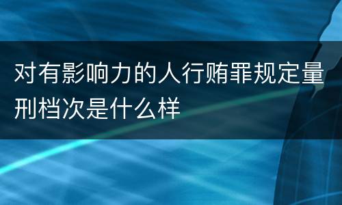 对有影响力的人行贿罪规定量刑档次是什么样