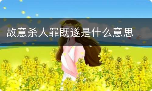 故意杀人罪既遂是什么意思