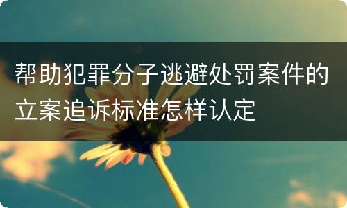 帮助犯罪分子逃避处罚案件的立案追诉标准怎样认定