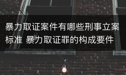暴力取证案件有哪些刑事立案标准 暴力取证罪的构成要件