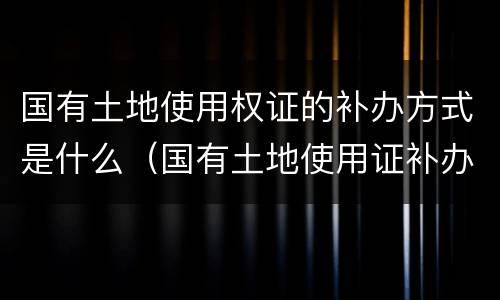 国有土地使用权证的补办方式是什么（国有土地使用证补办流程）