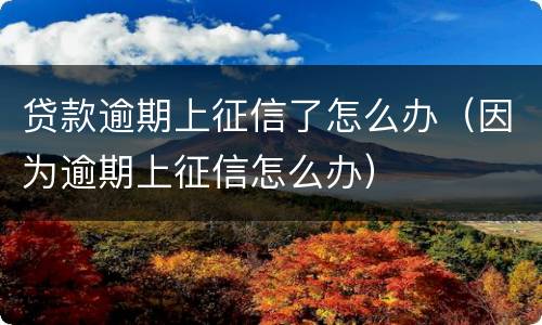 贷款逾期上征信了怎么办（因为逾期上征信怎么办）
