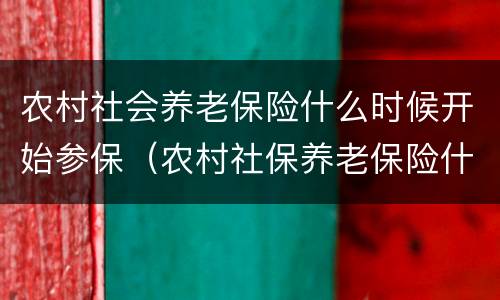 农村社会养老保险什么时候开始参保（农村社保养老保险什么时候交）