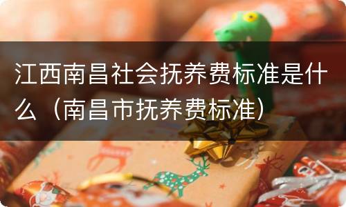 江西南昌社会抚养费标准是什么（南昌市抚养费标准）