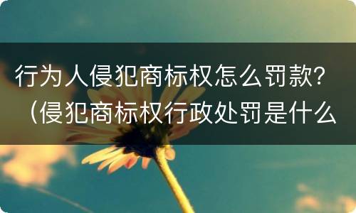 行为人侵犯商标权怎么罚款？（侵犯商标权行政处罚是什么）