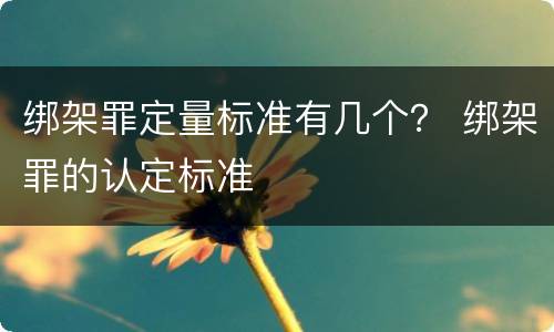 绑架罪定量标准有几个？ 绑架罪的认定标准