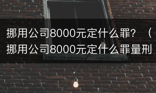 挪用公司8000元定什么罪？（挪用公司8000元定什么罪量刑）