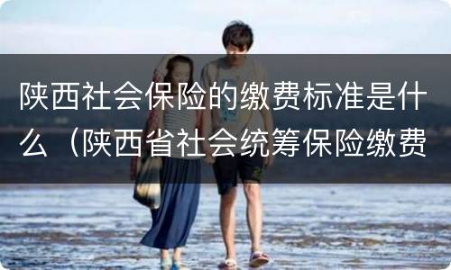陕西社会保险的缴费标准是什么（陕西省社会统筹保险缴费标准）