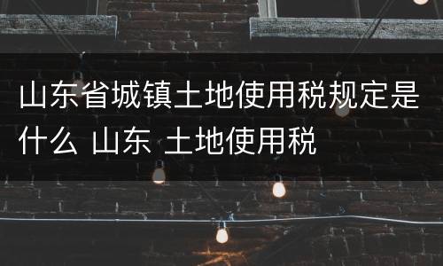 山东省城镇土地使用税规定是什么 山东 土地使用税