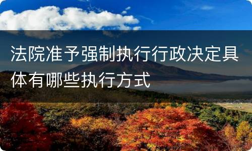 法院准予强制执行行政决定具体有哪些执行方式