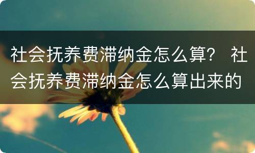 社会抚养费滞纳金怎么算？ 社会抚养费滞纳金怎么算出来的